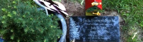 Jack's Headstone