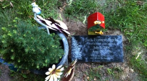 Jack's Headstone