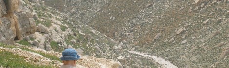 Eli overlooking valley of Tekoa