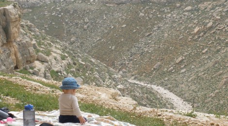 Eli overlooking valley of Tekoa