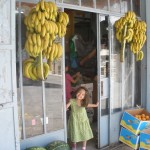 Opal and bananas
