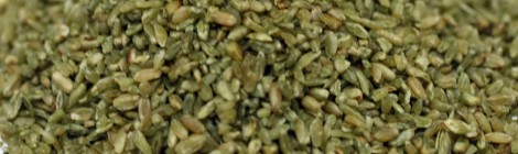 Green Wheat - Freekeh