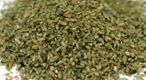 Green Wheat - Freekeh