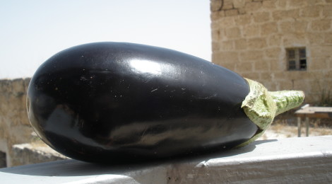 Arabic Grilled Eggplant